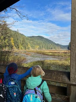 Taking in the View