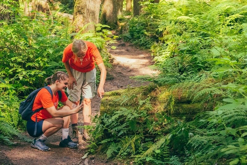 INaturalist Observations